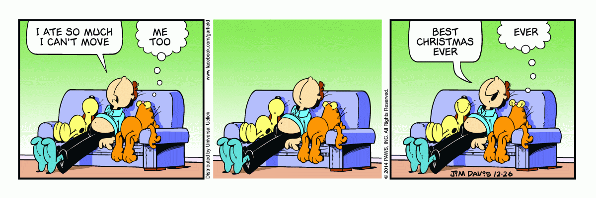 Garfield, December 26, 2014