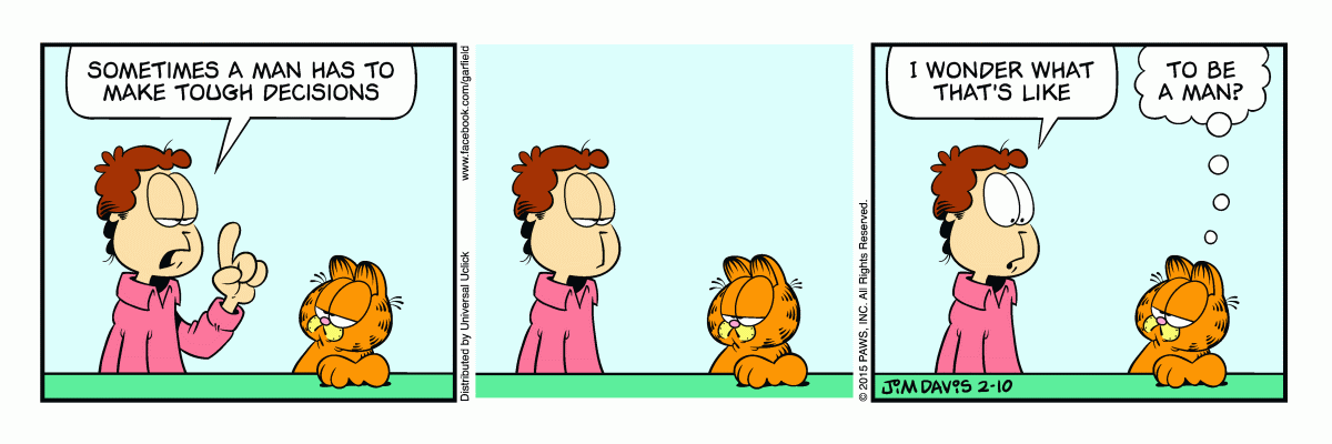 Garfield, February 10, 2015