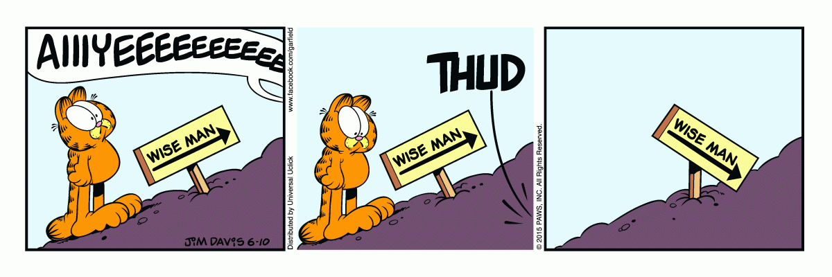 Garfield, June 10, 2015