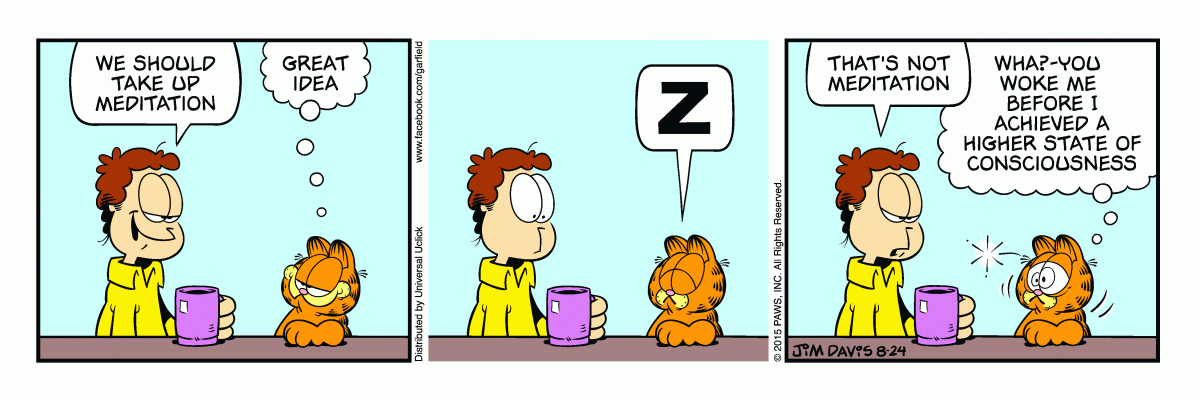 Garfield, August 24, 2015
