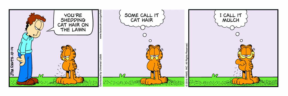 Garfield, October 14, 2015