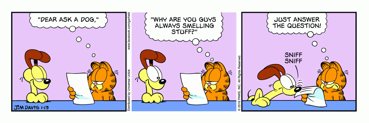 Garfield, January 13, 2016