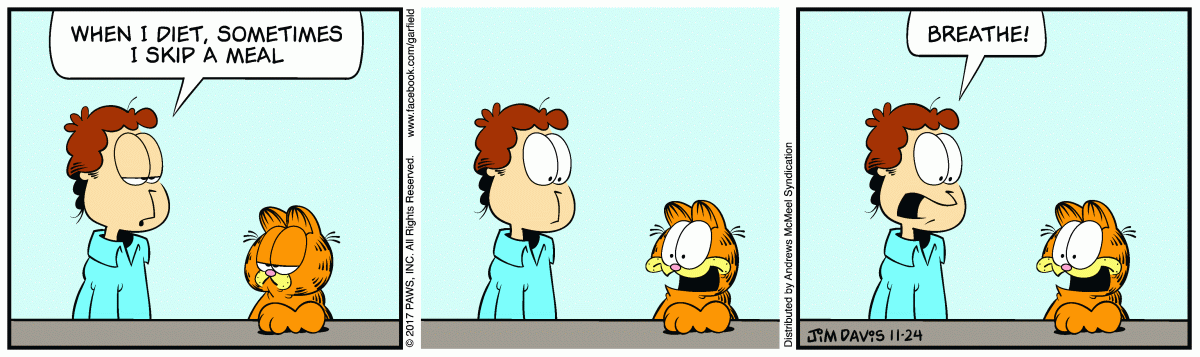 Garfield, November 24, 2017