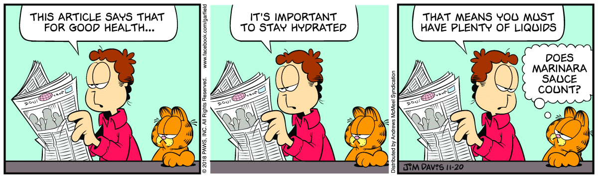 Garfield comic strip for Tuesday, November 20, 2018