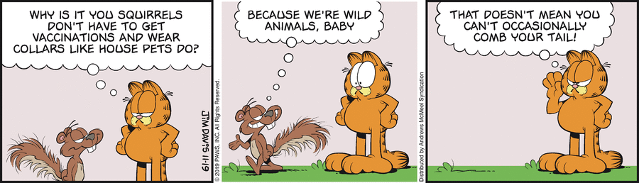 Garfield, November 19, 2019