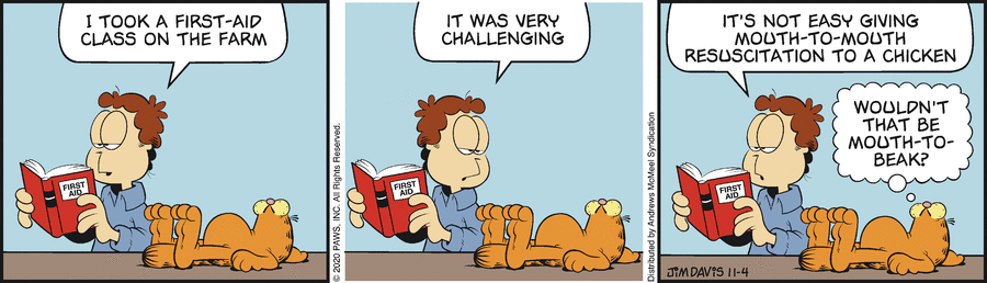 Garfield, November 4, 2020