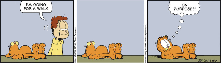 Garfield, November 9, 2020