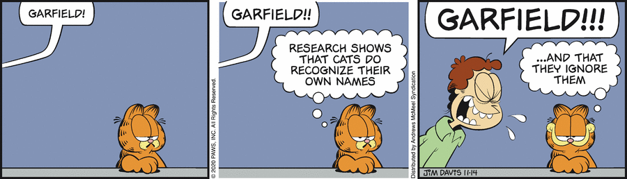 Garfield, November 14, 2020