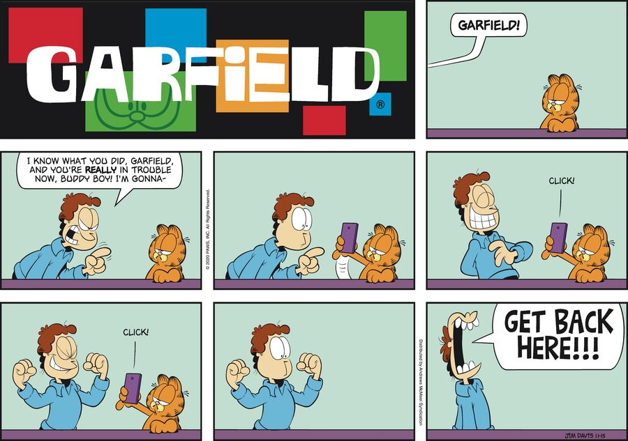 Garfield, November 15, 2020