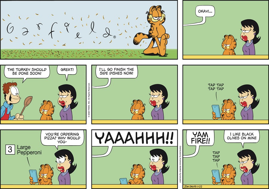 Garfield, November 22, 2020