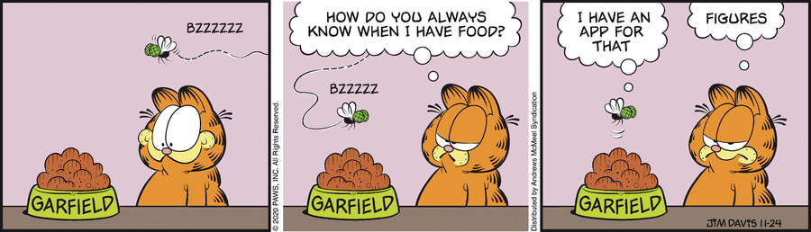 Garfield, November 24, 2020
