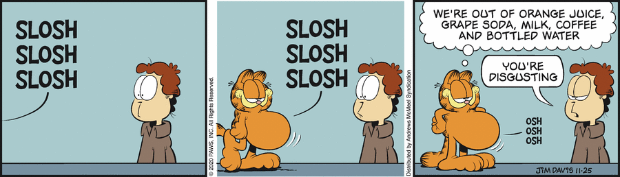 Garfield, November 25, 2020