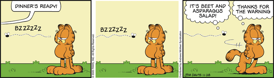 Garfield, November 28, 2020