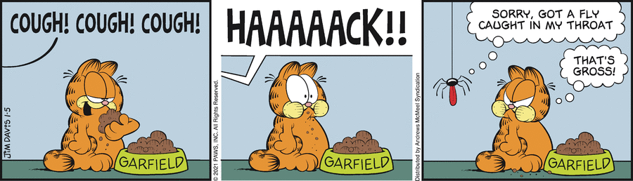 Garfield, January 5, 2021
