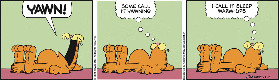 Garfield, January 25, 2021