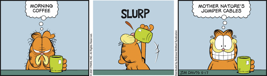 Garfield, May 17, 2021