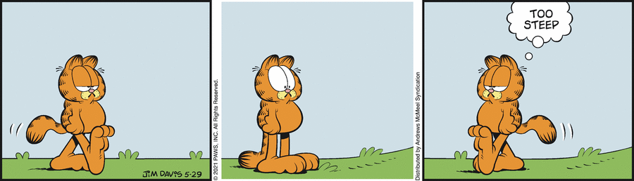 Garfield, May 29, 2021