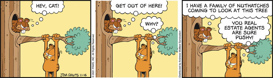 Garfield, November 16, 2021