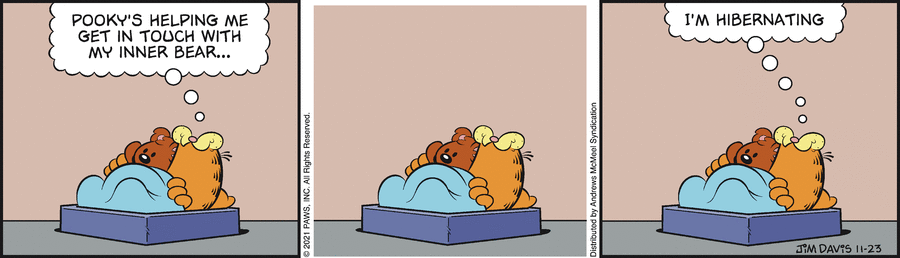 Garfield, November 23, 2021