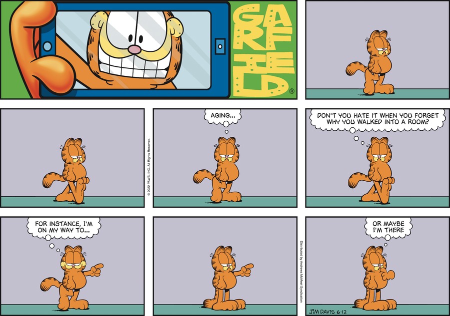 Garfield, June 12, 2022