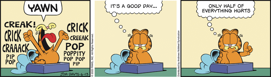 Garfield, June 13, 2022