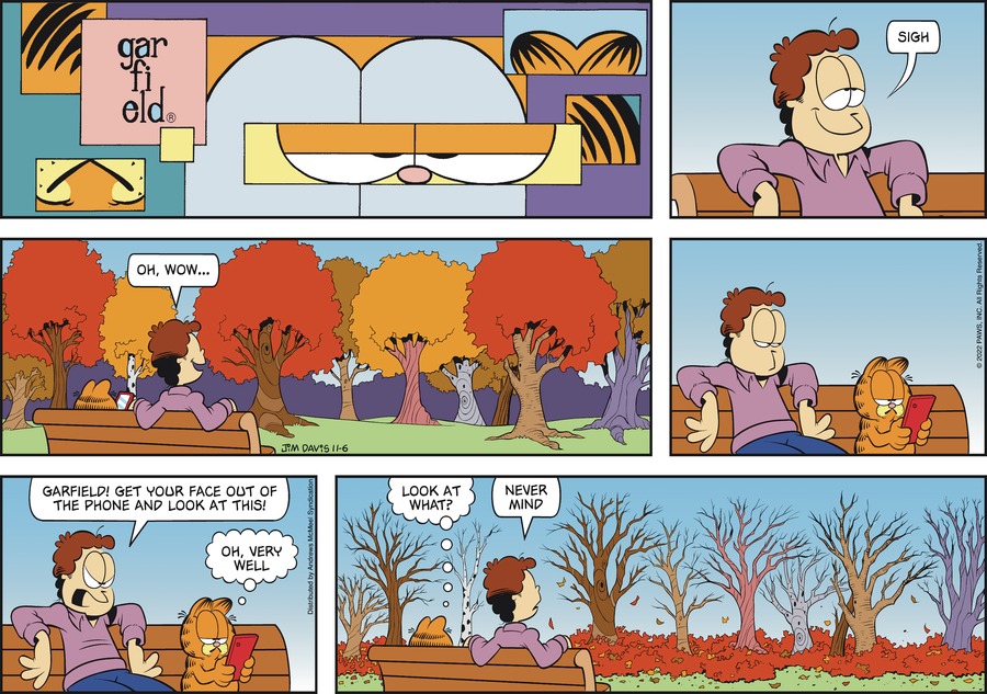Garfield, November 6, 2022