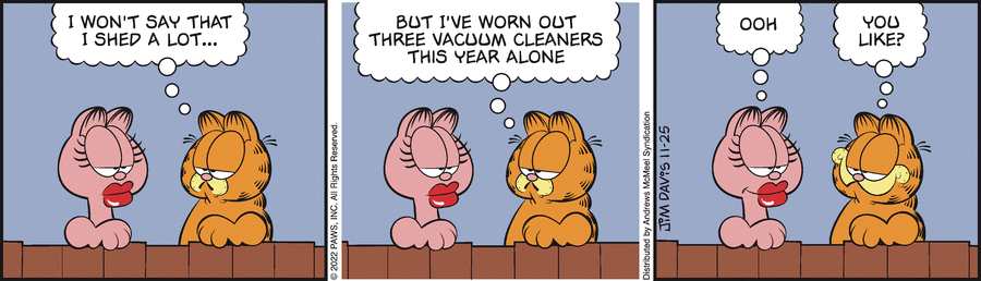 Garfield, November 25, 2022