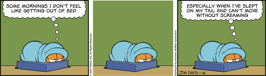 Garfield, January 16, 2024