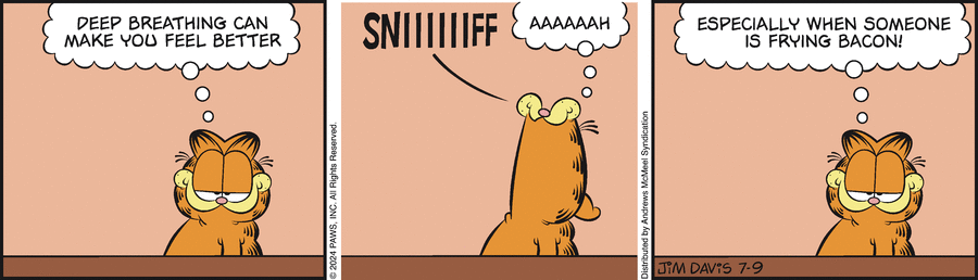 Garfield, July 9, 2024