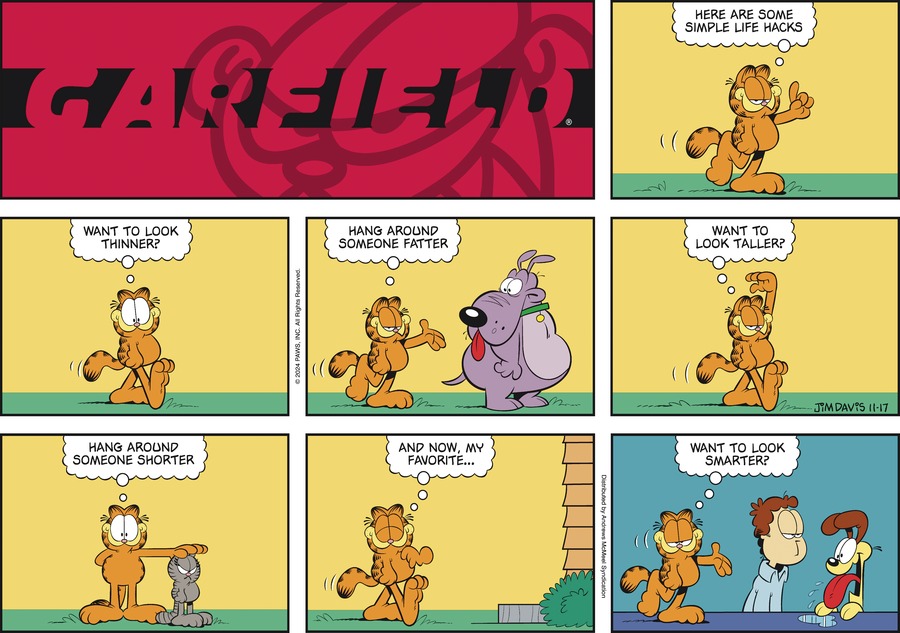 Garfield, November 17, 2024