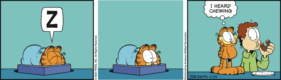 Garfield, November 23, 2024