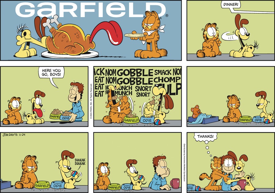 Garfield, November 24, 2024