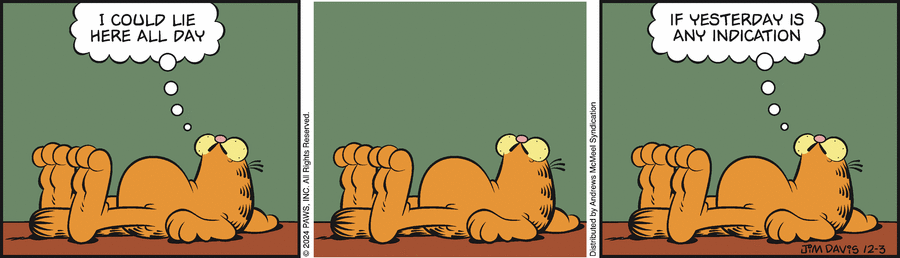 Garfield, December 3, 2024