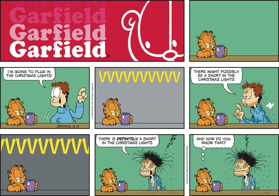 Garfield, December 15, 2024