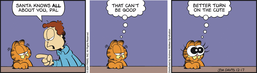 Garfield, December 17, 2024