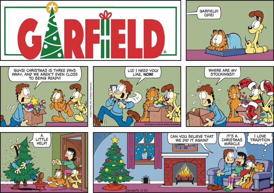 Garfield, December 22, 2024
