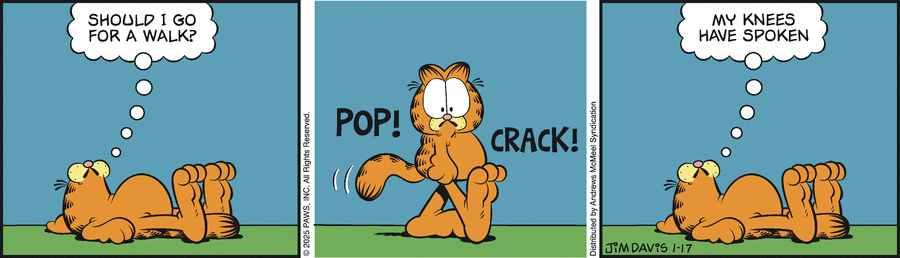Garfield, January 17, 2025