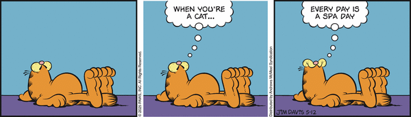 Garfield, May 12, 2025