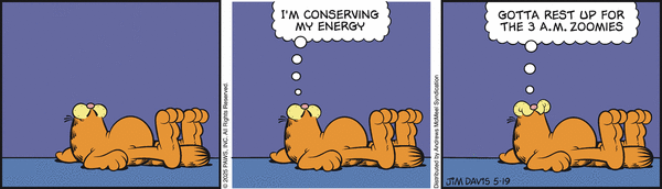 Garfield, May 19, 2025
