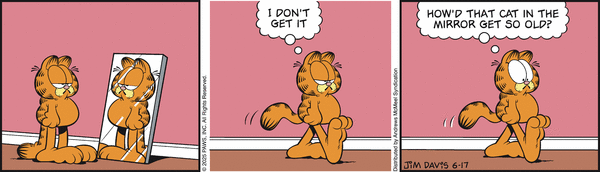 Garfield, June 17, 2025